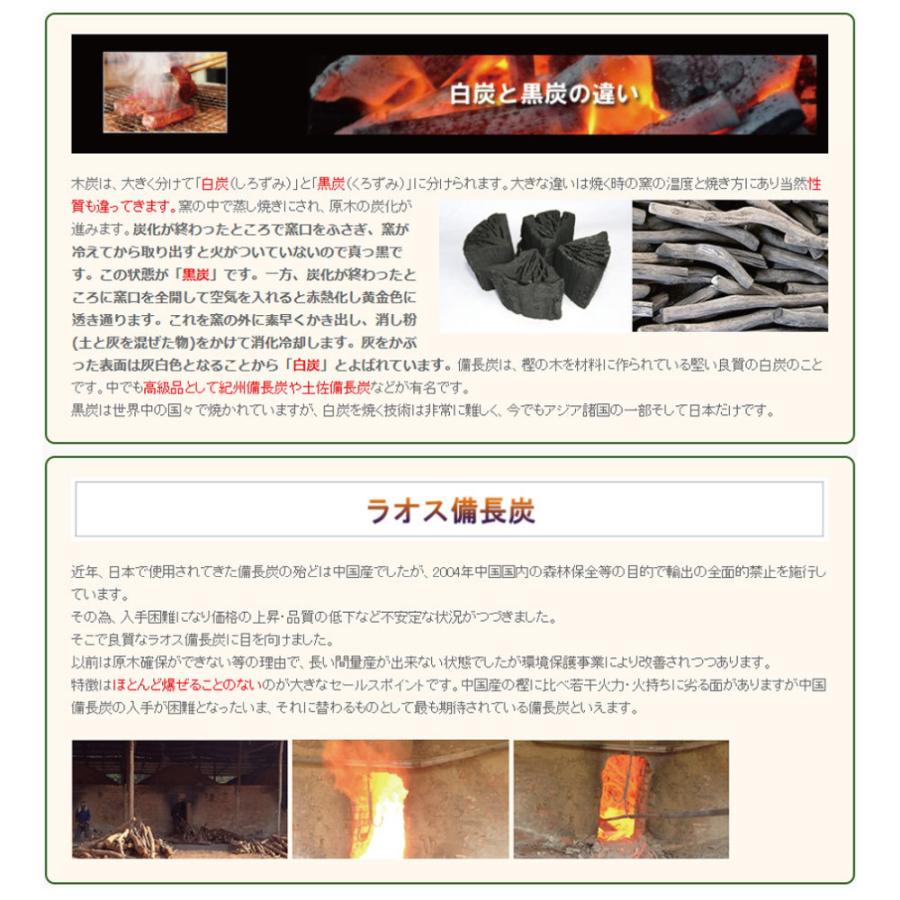 ラオス備長炭 荒上丸 15kg 奥行きのある焼き台に最適 櫻炭 特選 備長炭 :st-sumi-arajoumaru:清すトア ヤフーショッピング店 - 通販 - Yahoo!ショッピング ラオス備長炭 荒上丸 15kg 奥行きのある焼き台に最適 櫻炭 特選 備長炭 :st-sumi-arajoumaru:清すトア ヤフーショッピング店 - 通販 - Yahoo!ショッピング