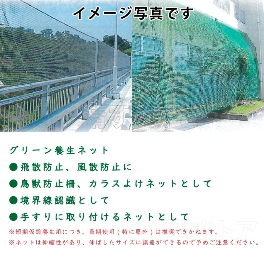 ネット　７ｍ×５ｍ 養生ネット 5m×7m 2枚(1枚3900円) 25mm目合 グリーンネット 防護ネット