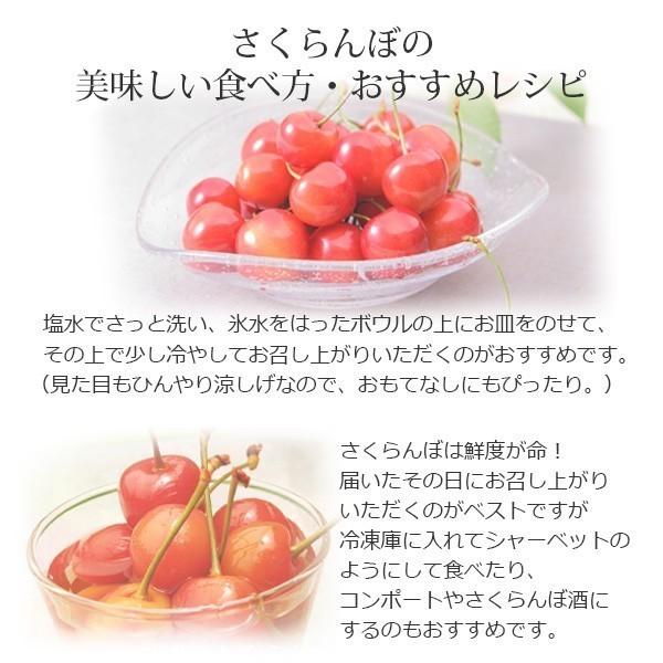 さくらんぼ 特撰佐藤錦 大粒バラ詰め 2lサイズ500g 山形県産 ギフト 高級 佐藤錦 清川屋のサクランボ Ky1737 清川屋ヤフー店 通販 Yahoo ショッピング
