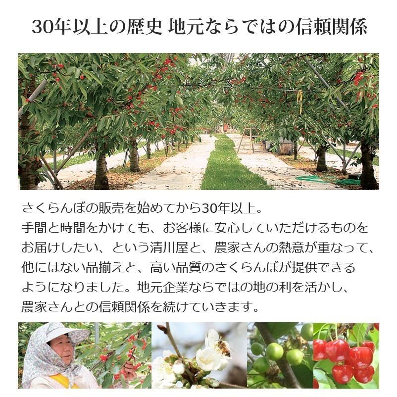 さくらんぼ 特撰佐藤錦の宝石箱 48粒木箱入 山形県産 ギフト 高級 2l 3l サイズ 佐藤錦 清川屋のサクランボ Ky1740 清川屋ヤフー店 通販 Yahoo ショッピング