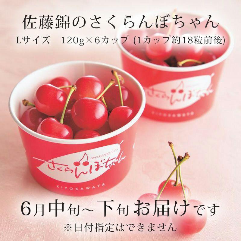 さくらんぼ 佐藤錦 さくらんぼちゃん 秀選 L 120g&times;6パック 山形県産 ギフト 高級 秀選佐藤錦 (清川屋のサクランボ)