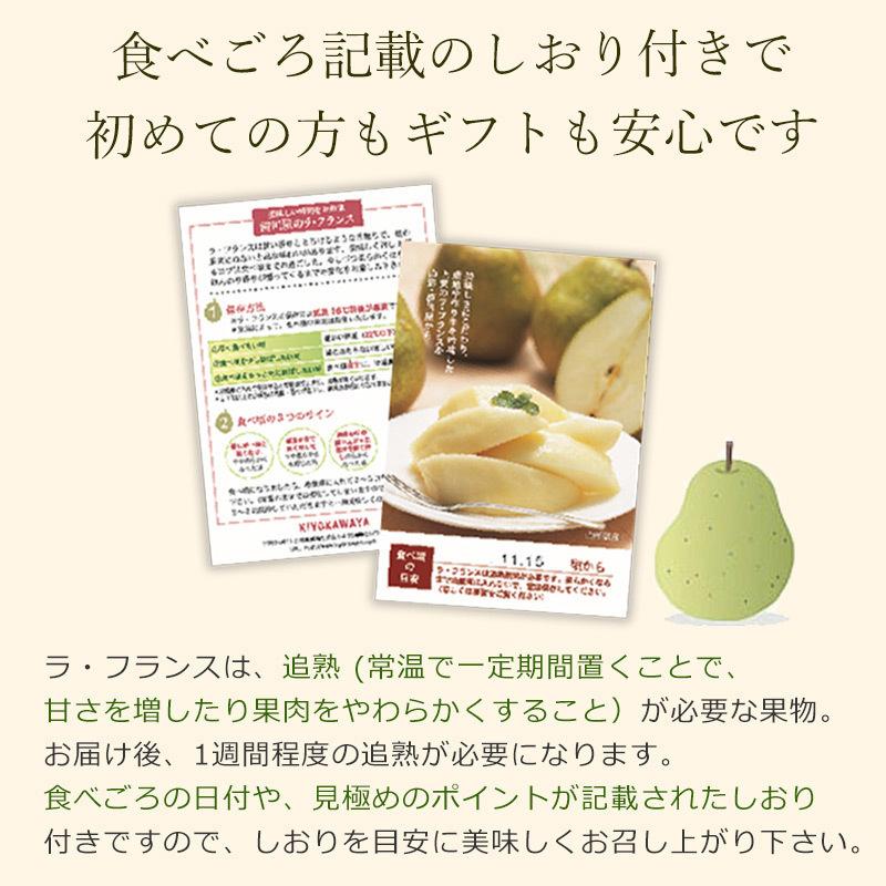 ギフト ラ・フランス【極】 山形県産 大玉 5L 6玉（約2.8kg） 11月中旬