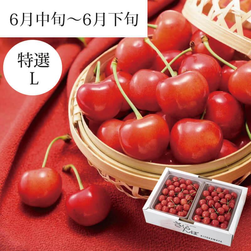 さくらんぼ 佐藤錦 特選 バラ詰め L 1kg 6月中旬〜6月下旬お届け