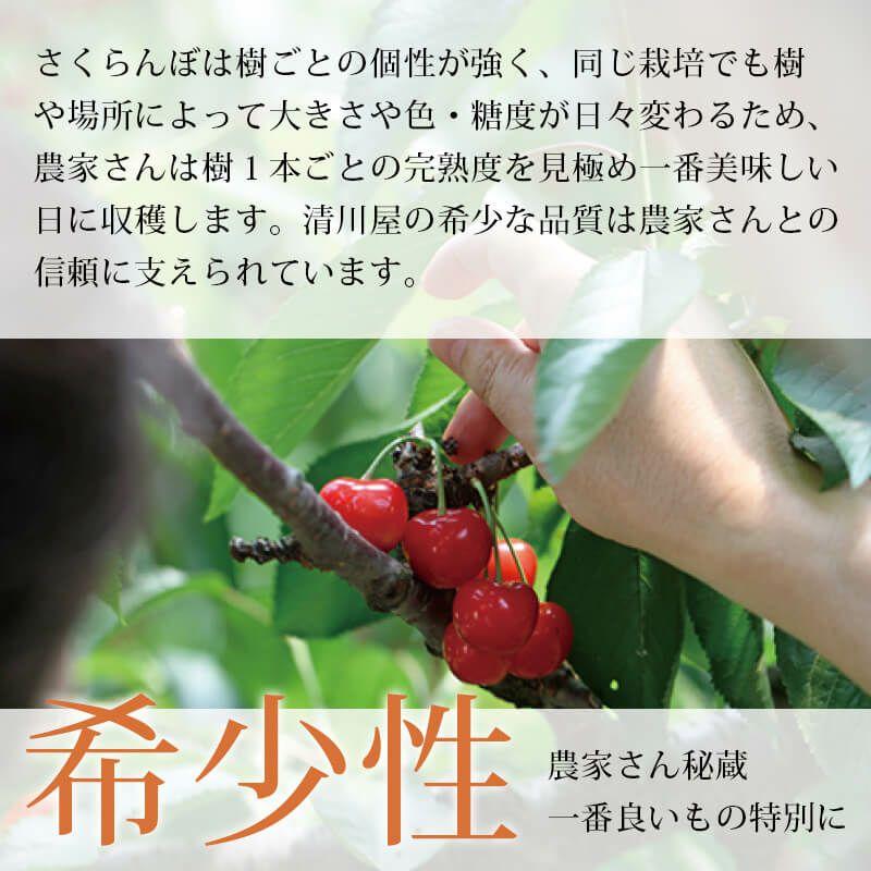 山形県産　紅秀峰　2kg バラパック　贈答品　ランクB + 楽天市場】☆クール便出荷☆ 山形県産 さくらんぼ 紅秀峰(露地