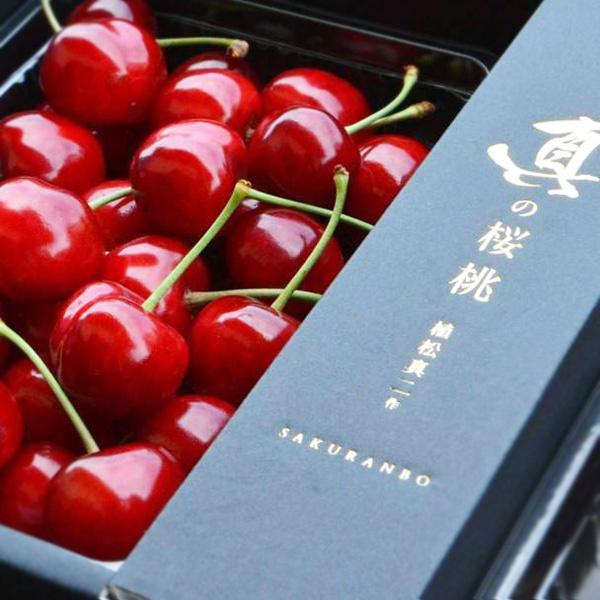 さくらんぼ 真の桜桃 佐藤錦 バラ詰め 2L 500g 6月中旬〜6月下旬お届け