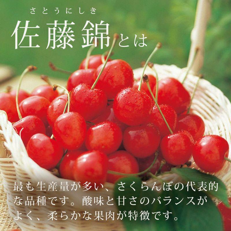 さくらんぼ 真の桜桃 佐藤錦 2L 1kg 山形県産 ギフト 高級 バラ