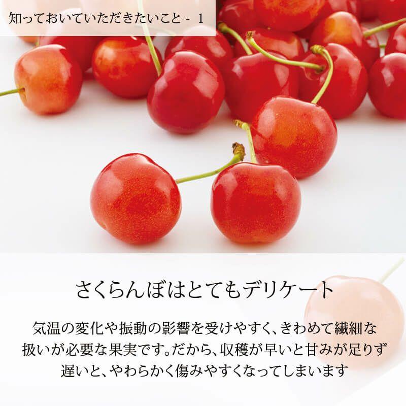 桜桃さま専用 シオカゼストア | ALL-CITY * SPACE HORSE ハンドルカスタム RITCHEY