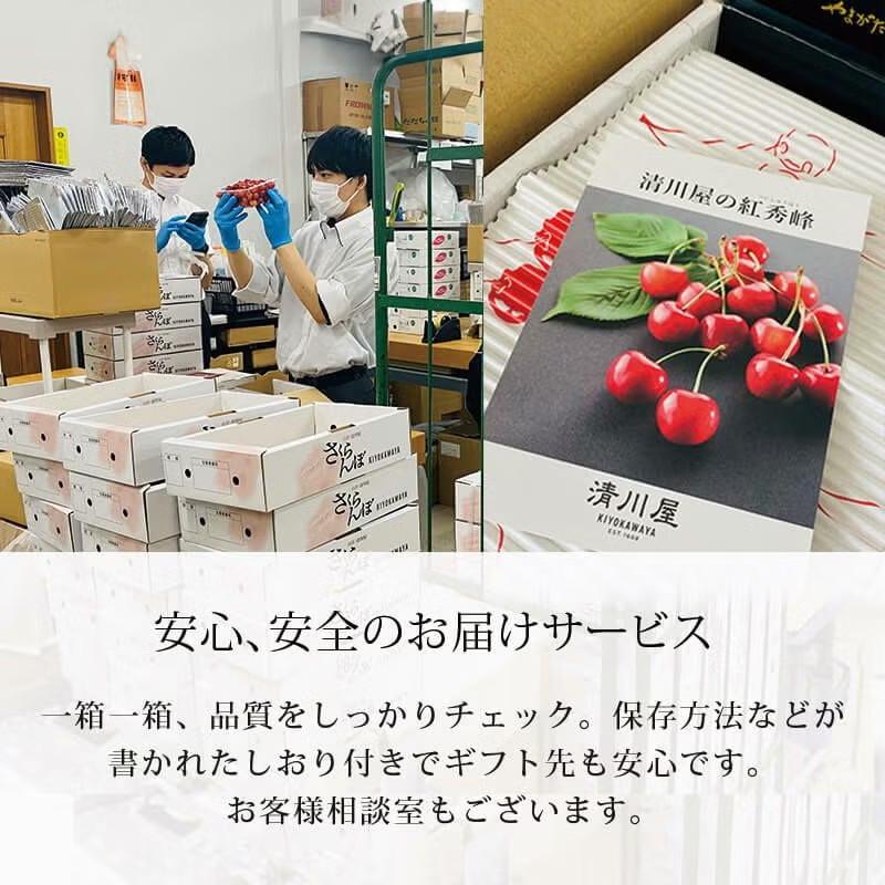 さくらんぼ 真の桜桃 佐藤錦 バラ詰め 2L 1kg 6月中旬〜6月下旬お届け