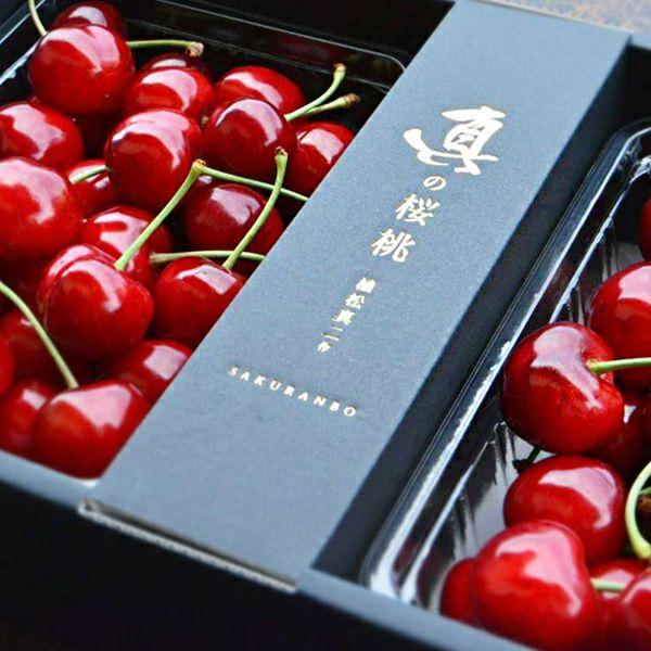 さくらんぼ グッズセット 先行予約 2026年度発送》おすそ分けさくらんぼセット6月 FSY-0061