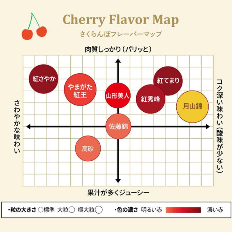 紅てまり3Lサイズ 500gと紅きらり 2Lサイズ500gセット ◎贈答品にも さくらんぼ 紅てまり 特選 職人詰め 2〜3L 500g 6月末〜7月初旬お届け