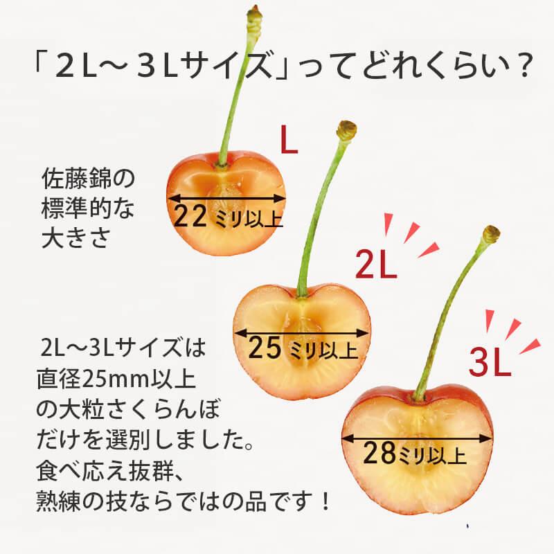 さくらんぼ 紅てまり 特選 職人詰め 2〜3L 500g 6月末〜7月初旬お届け