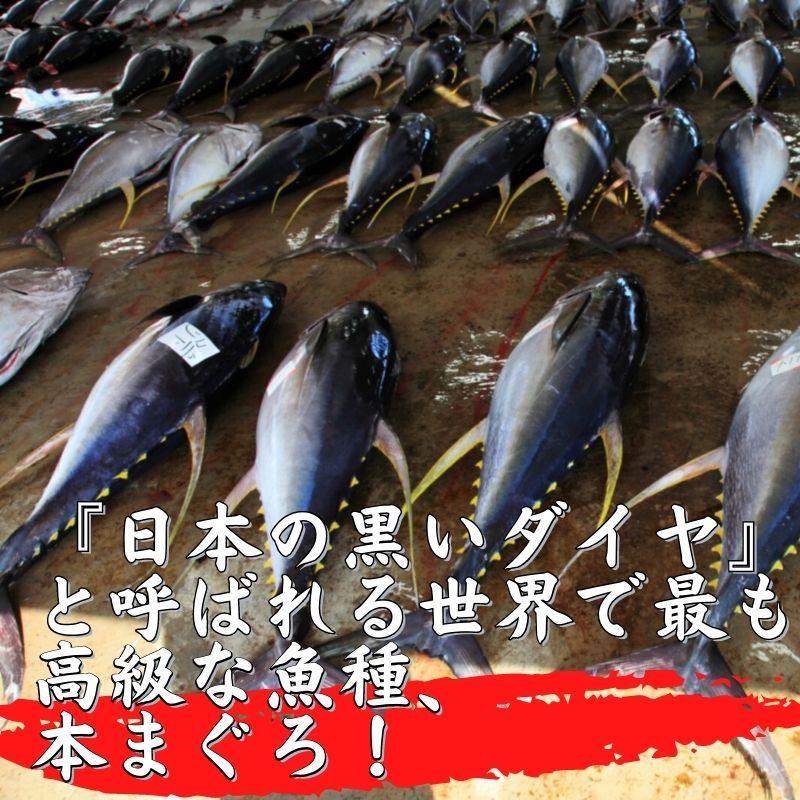 冷蔵便】送料無料 生本まぐろ 鮪 本マグロ 大トロ1kブロック 冷蔵便 約