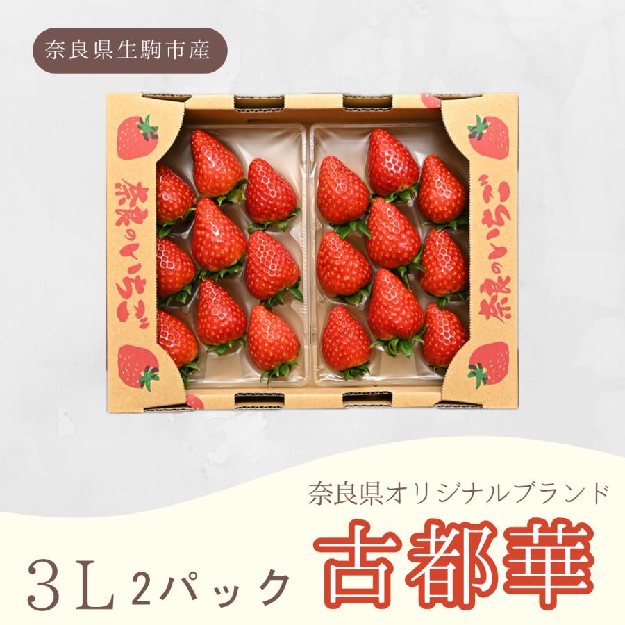 奈良県産 古都華（ことか）いちご 3Lサイズ 9粒×2パック 贈答用 クール
