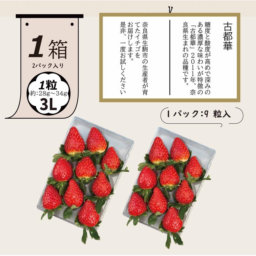 奈良県産 古都華（ことか）いちご 3Lサイズ 9粒×2パック 贈答用 クール