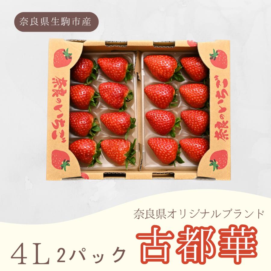 奈良県産 古都華（ことか）いちご 4Lサイズ 8粒×2パック 贈答用 クール