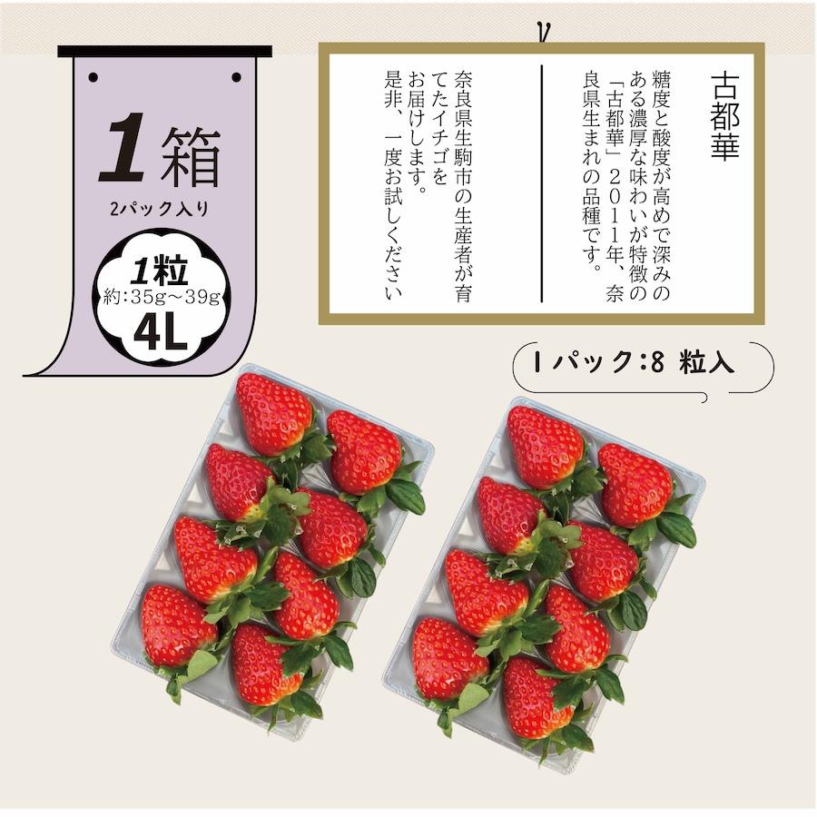 奈良県産 古都華（ことか）いちご 4Lサイズ 8粒×2パック 贈答用 クール