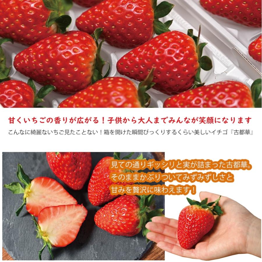 奈良県産 古都華（ことか）いちご 4Lサイズ 8粒×2パック 贈答用 クール