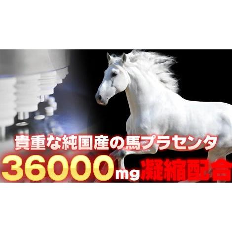 純国産高級馬プラセンタ36000 約6ヵ月分 360粒 馬プラセンタ 高濃度50倍凝縮 サプリ サプリメント 送料無料｜kiyose-store｜02