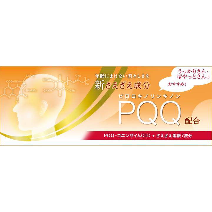 DHC PQQ＋Q10 30日分 DHC DHC PQQ＋Q10 30日分×2個セット 60粒 PQQ Q10 サプリ 送料無料
