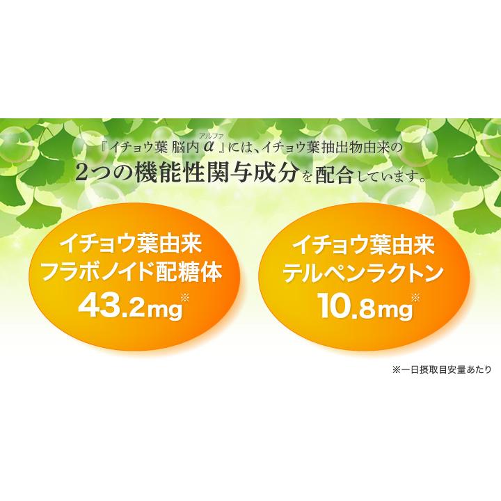 DHC イチョウ葉 脳内α アルファ 30日分×3個セット 270粒 イチョウ葉 サプリ 送料無料 追跡可能メール便｜kiyose-store｜02