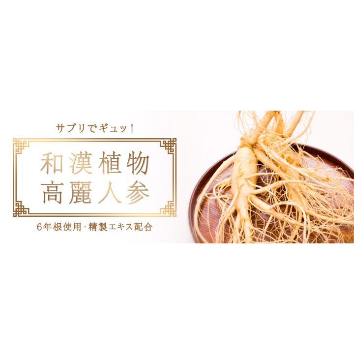 DHC 高麗人参 30日分×3個セット 180粒 高麗人参 サプリ サプリメント 送料無料 追跡可能メール便｜kiyose-store｜02