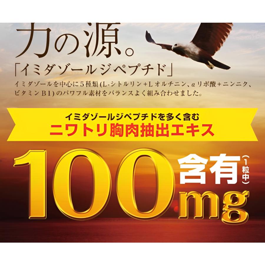 イミダゾールジペプチド粒 プレミアム 90粒×2個セット サプリメント