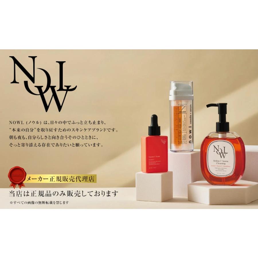 NOWL ノウル ニードルデュアルセラム 30ml ニードル美容液 2層式 針