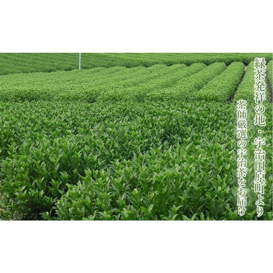 敬老の日 お茶 2026 ギフト 宇治茶 宇治茶ギフト 緑茶 80g 煎茶 玉露 深蒸し茶 高級 茶葉 御供 内祝 老舗 プレゼント 香典返し お返し 70代 健康 京都 きよ泉 | 京都きよ泉 | 06