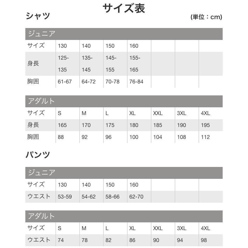プーマ トレーニングウェア ジュニアピステトップ|kiyospo|12