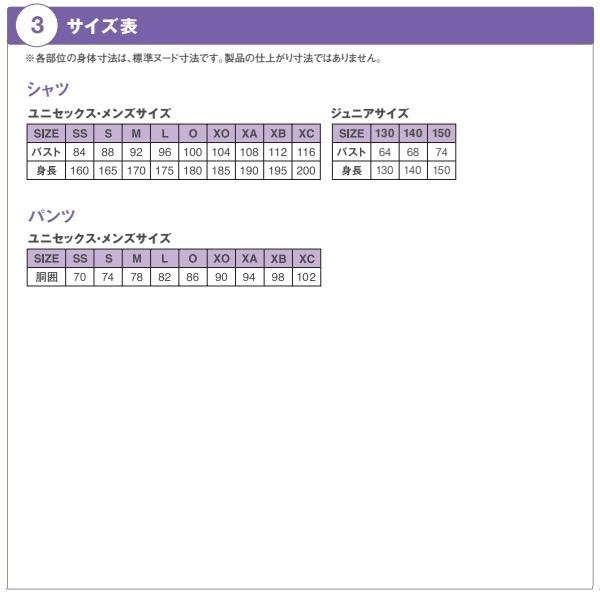 デサント バレーボールユニフォーム ゲームパンツ カスタムオーダーシステム ライトコンポ2 B0デザイン 右裾番号込み｜kiyospo｜07