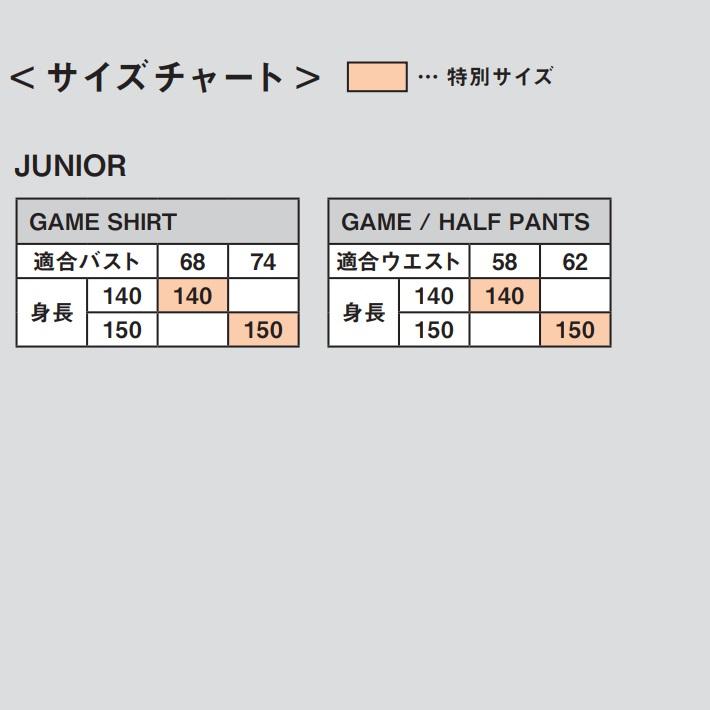 DESCENTE ゲームパンツ　O size DESCENTE バレーボール バレーボールパンツ -デサントストア-DESCENTE