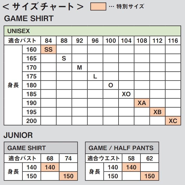DESCENTE Panasonic バレーボールシャツ XBサイズ DESCENTE Panasonic バレーボールシャツ XBサイズ DESCENTE