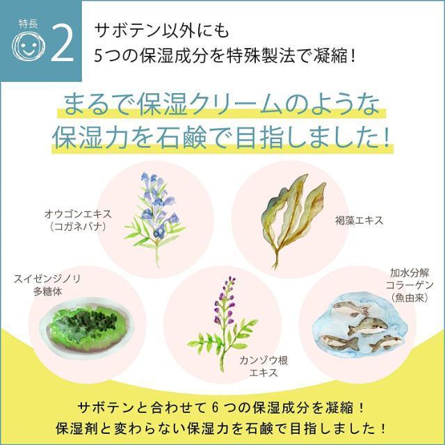 ニコ石鹸 50g 2個 nico石鹸 にこ せっけん 固形石鹸 敏感肌 汗疹