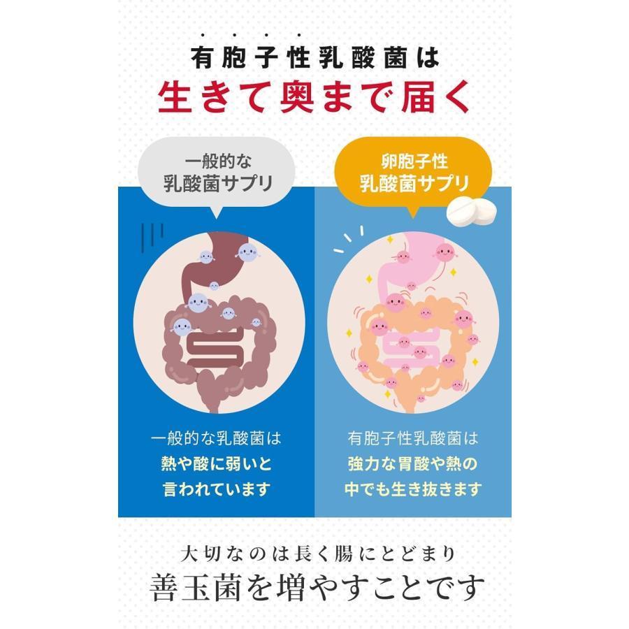 【２個セット】ラクトロン錠 180錠 指定医薬部外品 整腸 サプリメント　健康 株式会社ファーマフーズ 腸内細菌 | 明治薬品 | 02