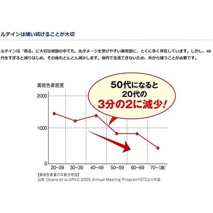 ロート製薬 ロートv5粒 アクトビジョン 62粒 目のサプリメント