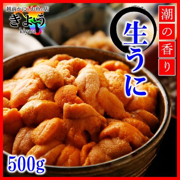【生うに『500g』】カナダ産/大粒/無添加/高品質/濃厚/丼に最適/うに丼大盛/送料無料