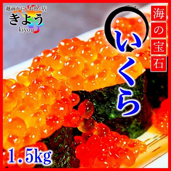 【旨いくらの醤油漬け『1.5kg』】厳選/送料無料/大盛り/低コレステロール/健康食/国産