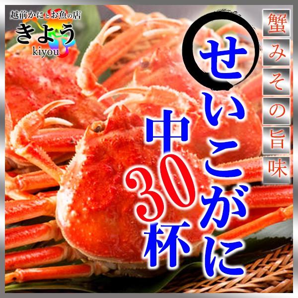 期間限定特価 期間限定 越前せいこがに セイコガニ セコガニ 香箱蟹 中30杯 ずわいがに かに カニ 福井 お歳暮 ご贈答 送料無料 越前かにとお魚の店 きよう 通販 Yahoo ショッピング 絶対一番安い Www Lequotidien Mr