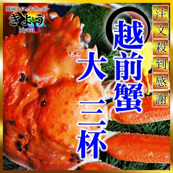 越前蟹大　3杯　「700〜900g×3」　越前がに/越前かに/セイコガニ/セコガニ/香箱蟹/産地直送/お歳暮/ご贈答/送料無料