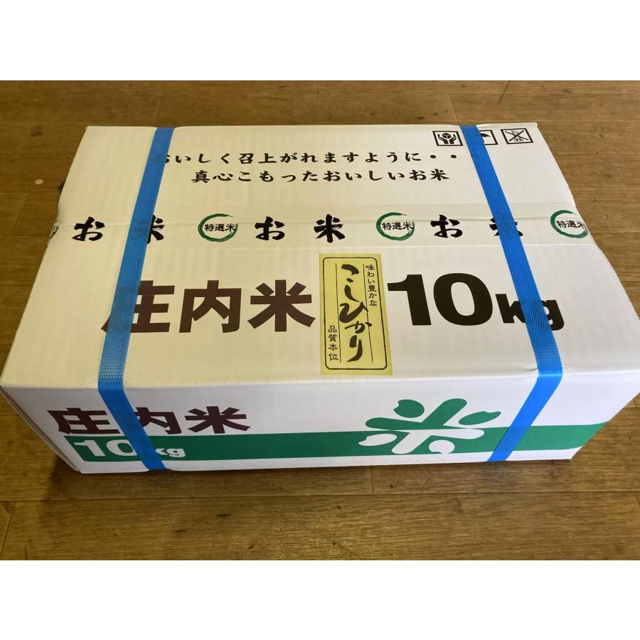 ☆特価！送料無料 精米したてをお送りします 白米10kg令和7年産 棚田