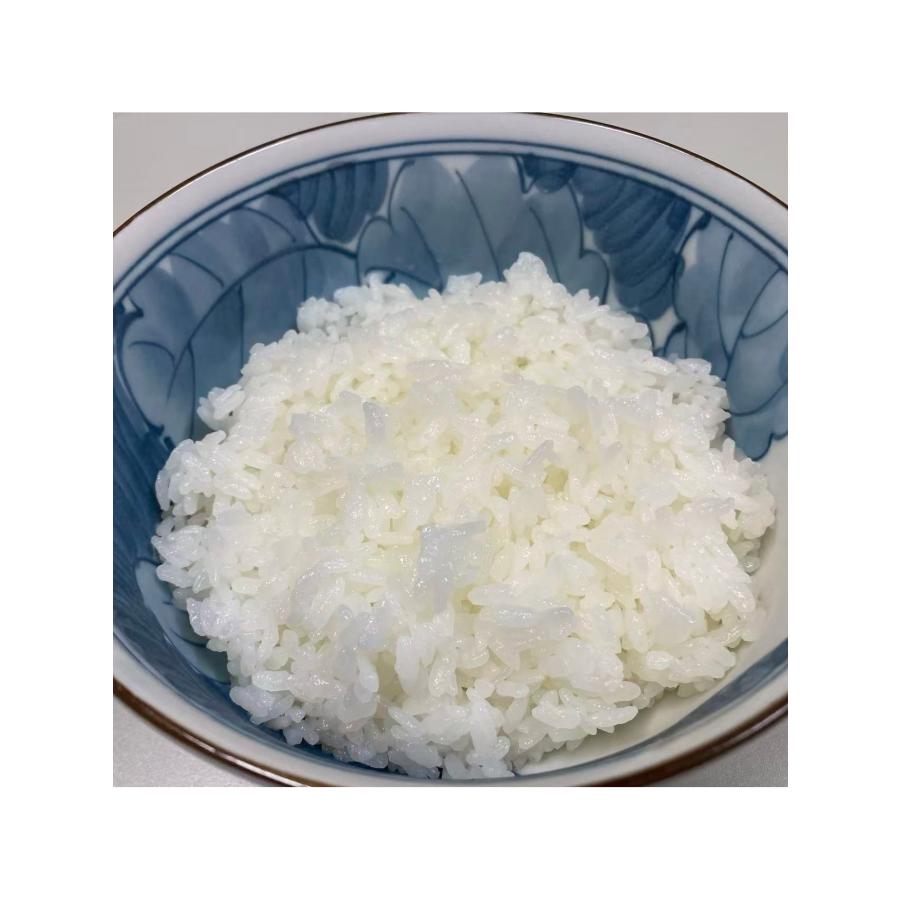 ☆特価！送料無料 精米したてをお送りします 白米10kg令和7年産 棚田