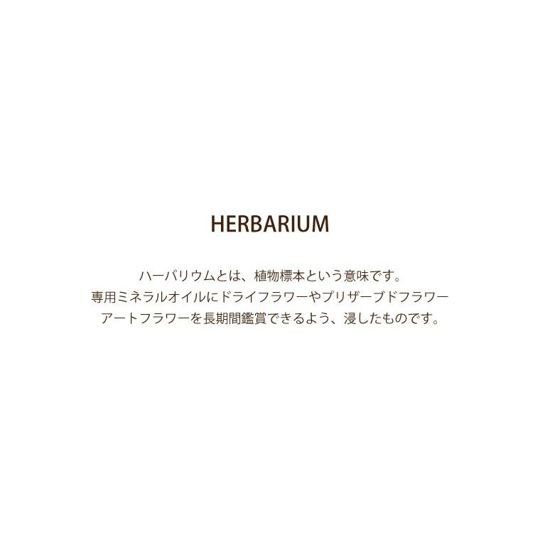 父の日 花 ギフト ハーバリウム プレゼント ひまわり グリーン 誕生日 女性 20代 30代 40代 50代 雑貨 おしゃれ 枯れない 贈り物 お祝い お見舞い 向日葵｜kizamu｜08