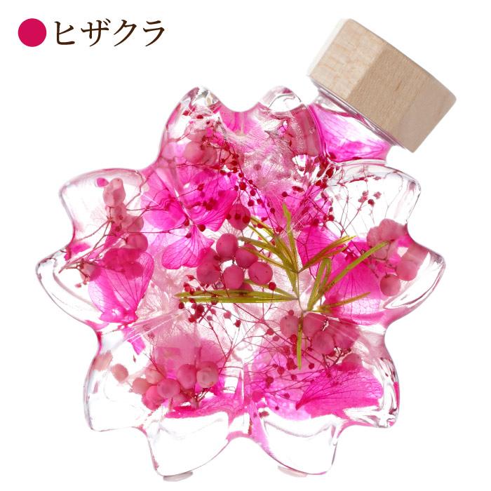 ハーバリウム 桜 さくら プレゼント 花 ギフト サクラノカタチ ヒザクラ お花 宅配 お祝い 誕生日プレゼント 女性 50代 60代 母 還暦祝い 枯れない｜kizamu｜08