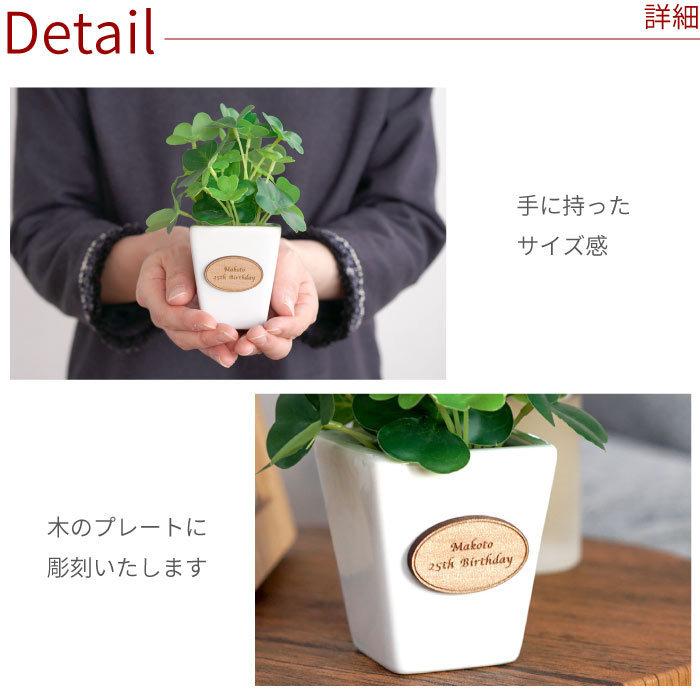 引越し祝い 男性 名入れ プレゼント 名前入り ギフト CT触媒 ハッピー クローバー スクエア フェイク グリーン 観葉植物 新築祝い ...