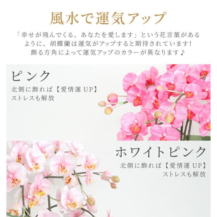 開店祝い プレゼント 名前入り 名入れ 在庫一掃売り切りセール ギフト 光触媒 胡蝶蘭 1本立 開業祝い 記念品 お花 おしゃれ お祝い 蘭 還暦 古希 結婚 観葉植物 喜寿 記念日 女性 母