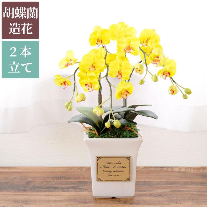 開店祝い 花 おしゃれ 名入れ 名前入り プレゼント ギフト 光触媒 胡蝶蘭 2本立 開業祝い 観葉植物 蘭 造花 結婚記念日 還暦 古希 喜寿 米寿 お祝い 周年祝い 記念品の名入れプレゼント きざむ 通販 Paypayモール