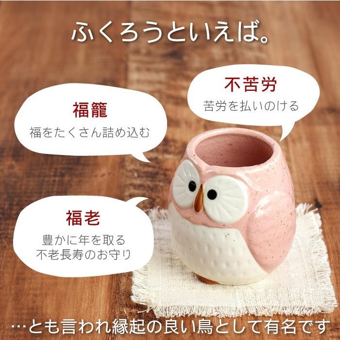 卸売り 父の日 プレゼント 名入れ 名前入り ギフト 美濃焼 パステル ふくろう 湯呑み 単品 還暦祝い 女性 誕生日 祖母 母 父 米寿 喜寿 古希 傘寿 のお祝い Riosmauricio Com