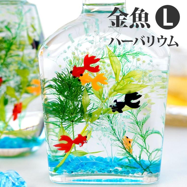 誕生日 花 プレゼントギフト 金魚 ハーバリウム L 植物標本 お花 宅配 還暦祝い 女性 定年退職 母 祖母 祖父 50代 60代 70代 80代 古希 喜寿 お祝い（Yahoo!・FLEGRE 1号店）