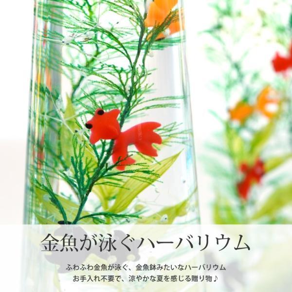 花 プレゼント ギフト 金魚 ハーバリウム L  植物標本 お花 宅配 誕生日 還暦祝い 女性 定年退職 母 祖母 祖父 50代 60代 70代 80代｜kizamu｜03