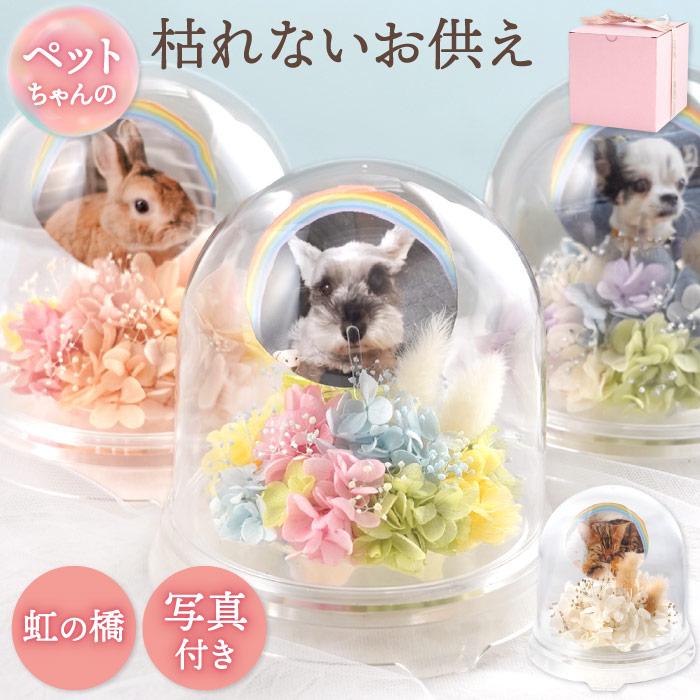 ペット お供え 花 メモリーポット プリザ プリザーブドフラワー お悔やみ 仏壇 供養花 アレンジ お花 犬 猫 命日 電報 供花 仏花 枕花（Yahoo!・FLEGRE 1号店）